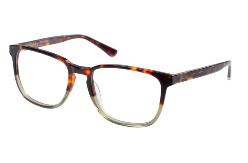 SDO BARNABY 104 Superdry | Square Glasses