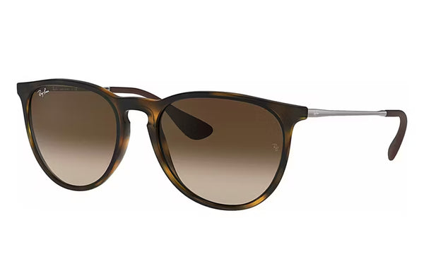 Ray-Ban RB4171 Erika | Oval Sunglasses