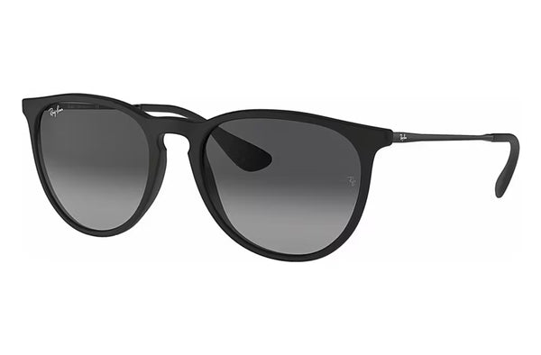 Ray-Ban RB4171 Erika | Oval Sunglasses