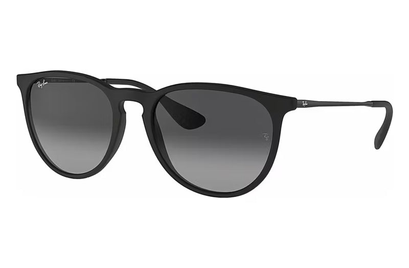 Ray-Ban RB4171 Erika | Oval Sunglasses
