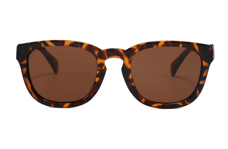Teddy Sunglasses | Square Sunglasses Optical King